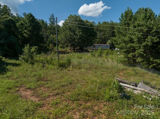 823 Silver Creek Rd, Mill Spring, NC 28756 - view of woods