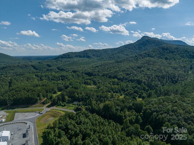 823 Silver Creek Rd, Mill Spring, NC 28756 - aerial view of a forest and a mountainous background