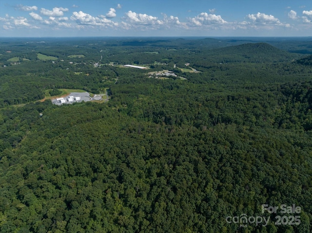 823 Silver Creek Rd, Mill Spring, NC 28756 - aerial view of property and surrounding area featuring a forest