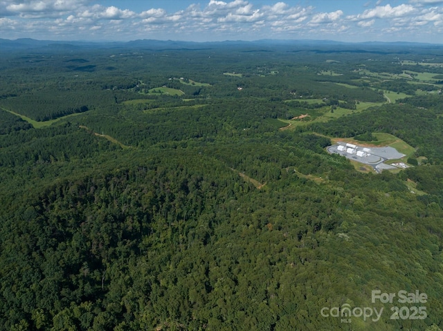 823 Silver Creek Rd, Mill Spring, NC 28756 - aerial view of property and surrounding area featuring a heavily wooded area