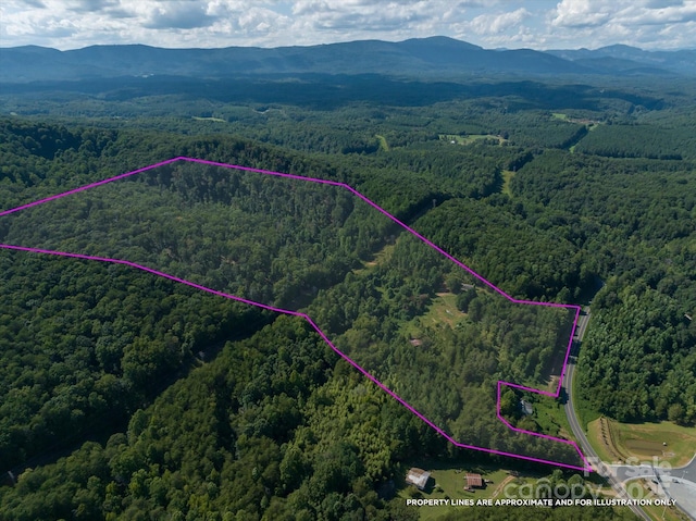 823 Silver Creek Rd, Mill Spring, NC 28756 - aerial overview of property's location with property boundaries highlighted and a mountainous background