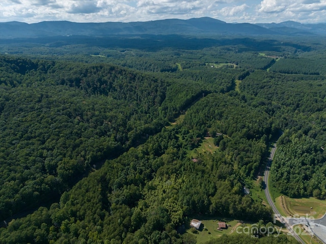 823 Silver Creek Rd, Mill Spring, NC 28756 - aerial view of property and surrounding area featuring a heavily wooded area and a mountain backdrop