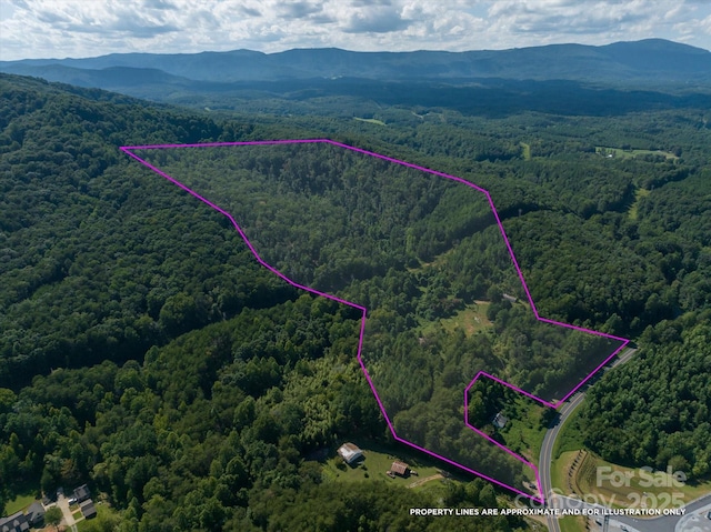823 Silver Creek Rd, Mill Spring, NC 28756 - view of property location featuring a forest and property parcel outlined