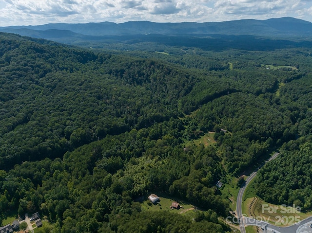 823 Silver Creek Rd, Mill Spring, NC 28756 - view of property location with mountains