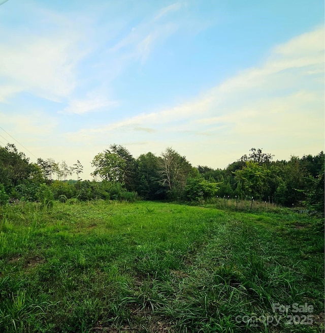 823 Silver Creek Rd, Mill Spring, NC 28756 - view of undeveloped land