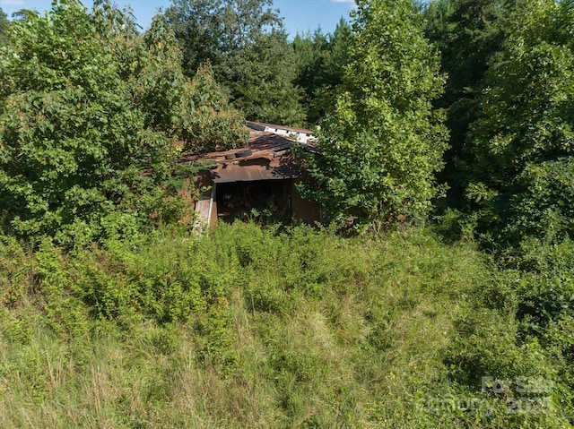 823 Silver Creek Rd, Mill Spring, NC 28756 - view of wooded area