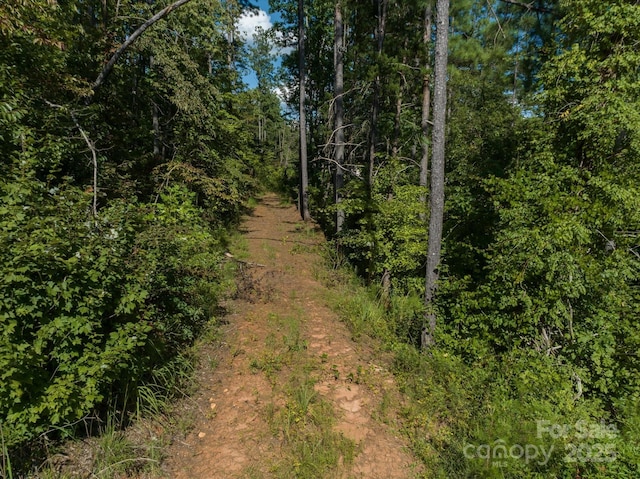 823 Silver Creek Rd, Mill Spring, NC 28756 - view of tree filled area