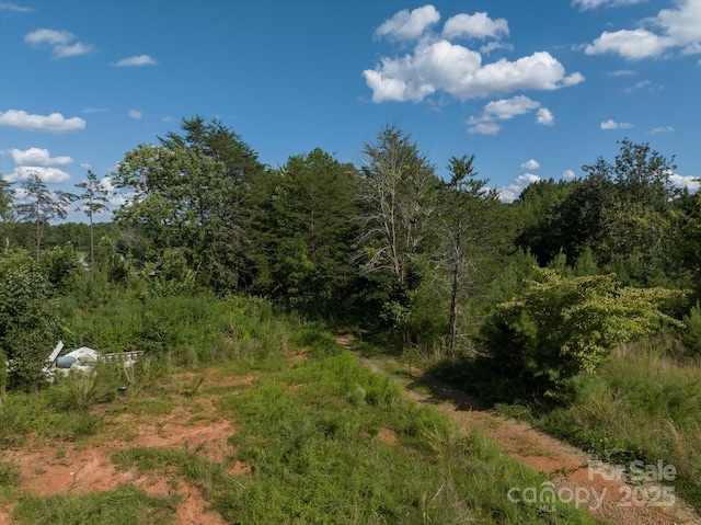 823 Silver Creek Rd, Mill Spring, NC 28756 - view of wooded area