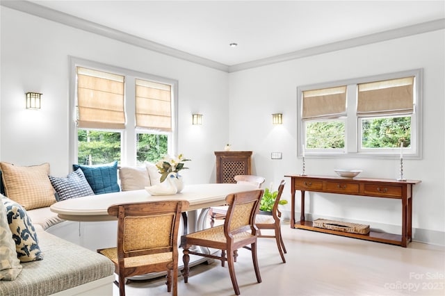 interior space with crown molding and a healthy amount of sunlight