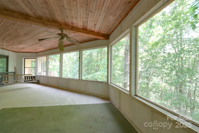 388 Island Creek Rd, Lake Lure, NC 28746 - photo 22