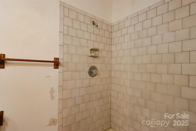 388 Island Creek Rd, Lake Lure, NC 28746 - photo 28