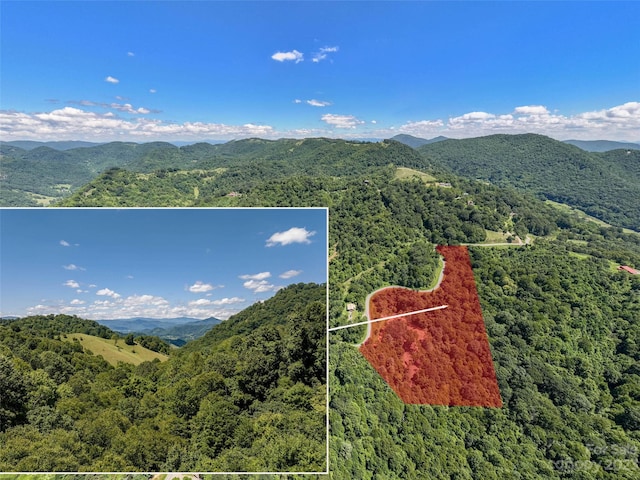 00 Runaway Rdg, Clyde NC, 28721 land for sale