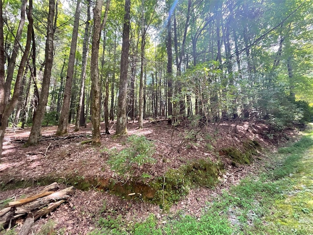 406 Tlvdatsi Dr, Brevard NC, 28712 land for sale