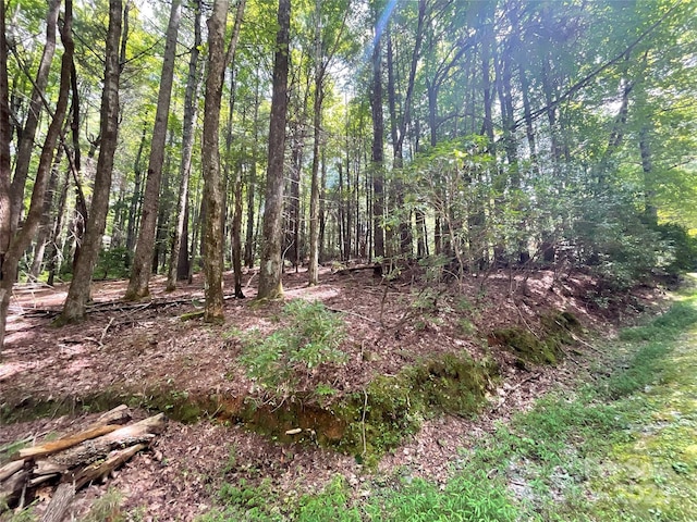 406 Tlvdatsi Dr, Brevard NC, 28712 land for sale