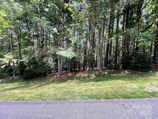 Listing photo 2 for 406 Tlvdatsi Dr, Brevard NC 28712