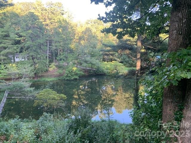 view of mother earth's splendor with a water view