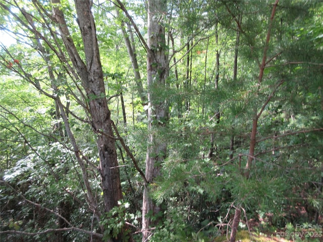 Listing photo 2 for LOT28 Linville Dr, Marion NC 28752