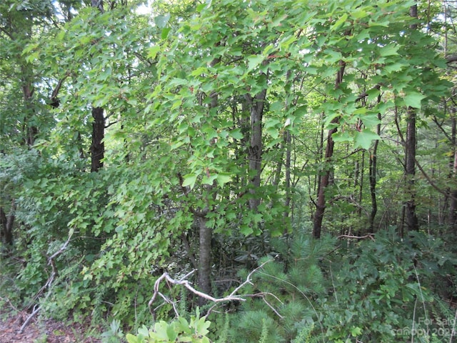 Listing photo 3 for LOT28 Linville Dr, Marion NC 28752