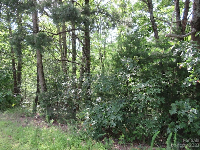 LOT29 Linville Dr, Marion NC, 28752 land for sale