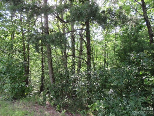 Listing photo 2 for LOT29 Linville Dr, Marion NC 28752