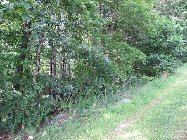 Listing photo 3 for LOT29 Linville Dr, Marion NC 28752