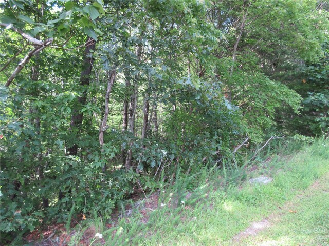 LOT29 Linville Dr, Marion, NC 28752 - photo 4