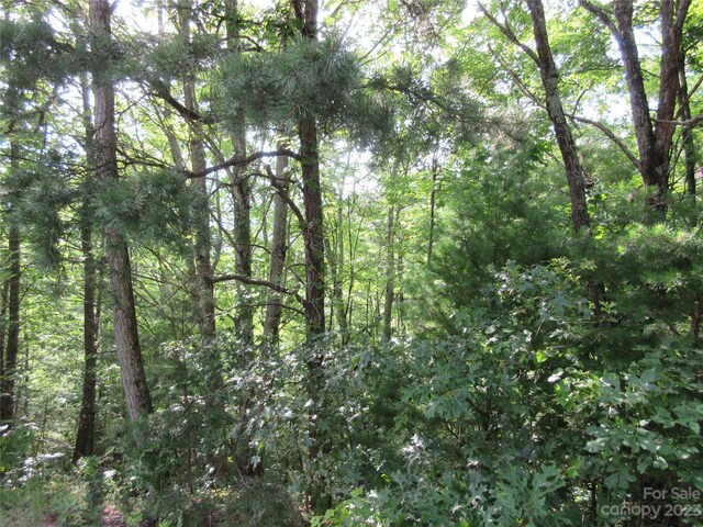 LOT29 Linville Dr, Marion, NC 28752 - photo 5