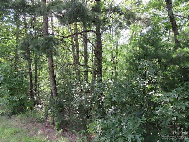 LOT29 Linville Dr, Marion, NC 28752 - photo 6