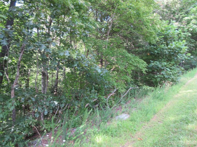 LOT29 Linville Dr, Marion, NC 28752 - photo 7