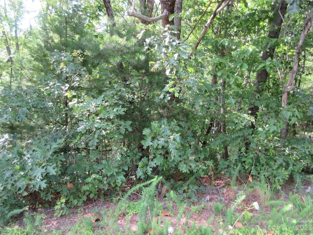 LOT29 Linville Dr, Marion, NC 28752 - photo 8