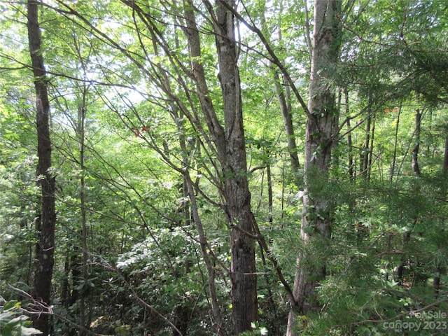 LOT29 Linville Dr, Marion, NC 28752 - photo 9