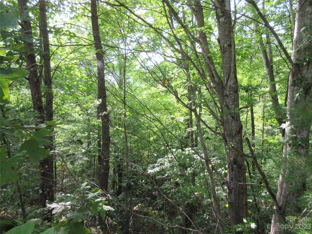 LOT29 Linville Dr, Marion, NC 28752 - photo 10