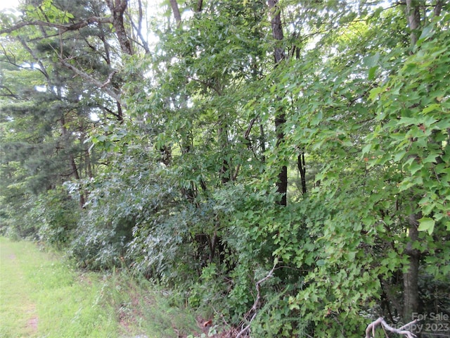 LOT29 Linville Dr, Marion, NC 28752 - photo 13