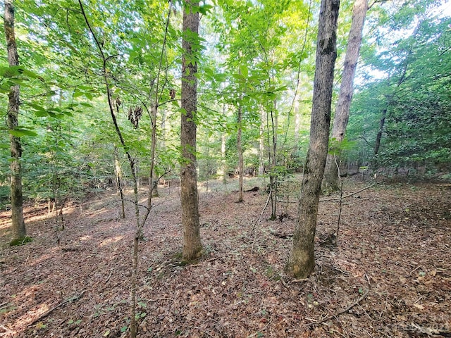 Listing photo 3 for 000 Bill Collins Rd Unit 4.73Ac, Tryon NC 28782