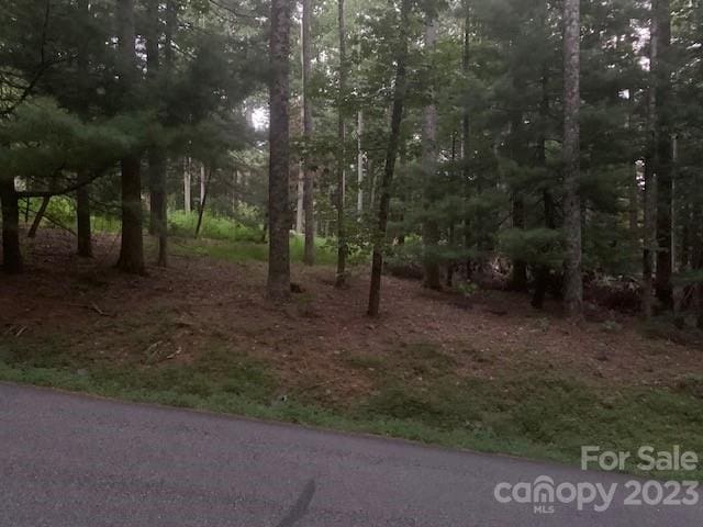 0.86AC Lakemont Dr, Flat Rock NC, 28731 land for sale