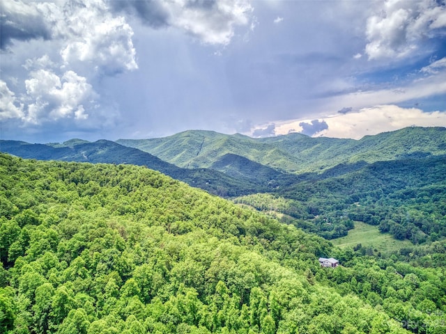 Listing photo 3 for 00 Steep Hill Rd, Sylva NC 28779