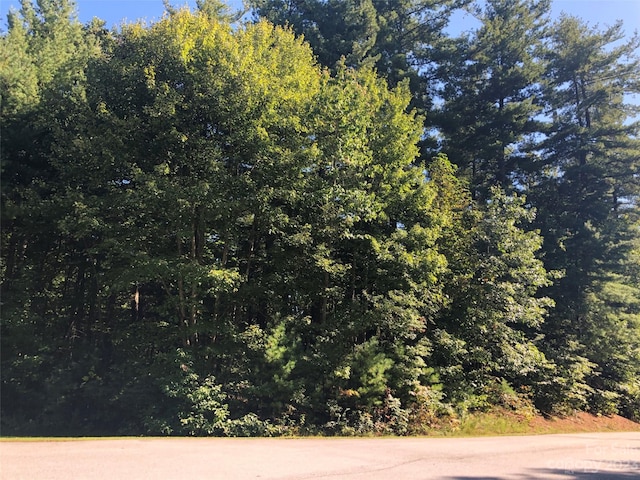 Listing photo 3 for LOT20 Daylily Dr, Hendersonville NC 28739