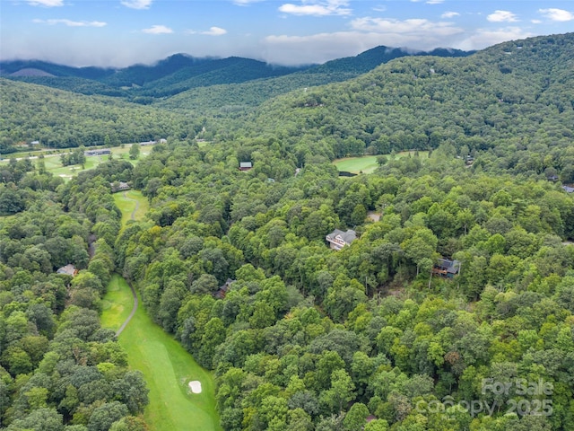 aerial view with a mountain view