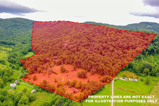 birds eye view of property with a mountain view