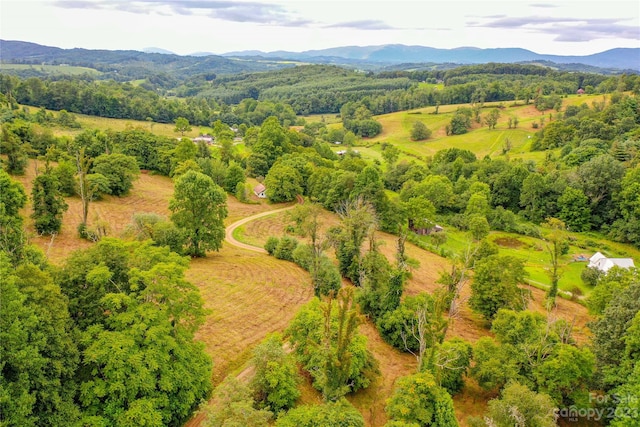 aerial view featuring a mountain view