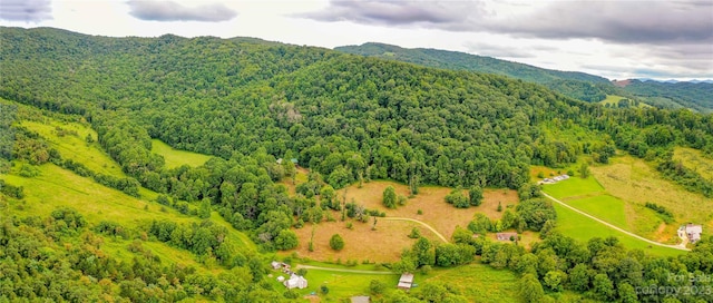 birds eye view of property featuring a mountain view