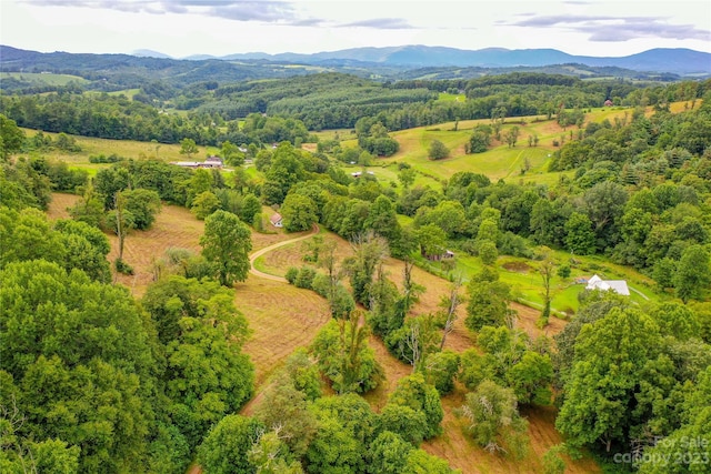 drone / aerial view featuring a mountain view