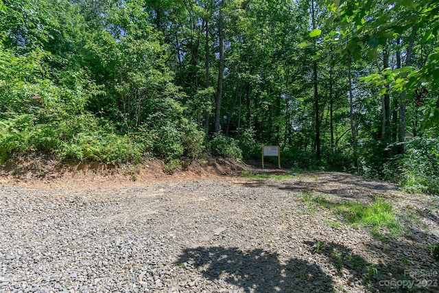 105 Bartram Way, Black Mountain, NC 28711 - photo 4