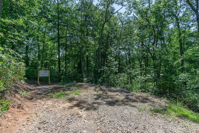 105 Bartram Way, Black Mountain, NC 28711 - photo 5