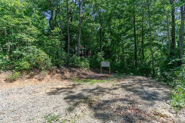 105 Bartram Way, Black Mountain, NC 28711 - photo 6