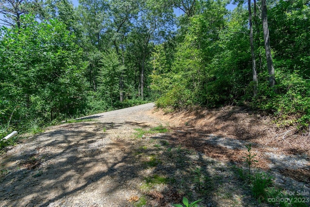 105 Bartram Way, Black Mountain, NC 28711 - photo 7