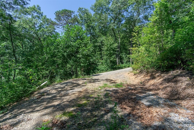105 Bartram Way, Black Mountain, NC 28711 - photo 8