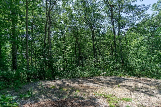 105 Bartram Way, Black Mountain, NC 28711 - photo 10