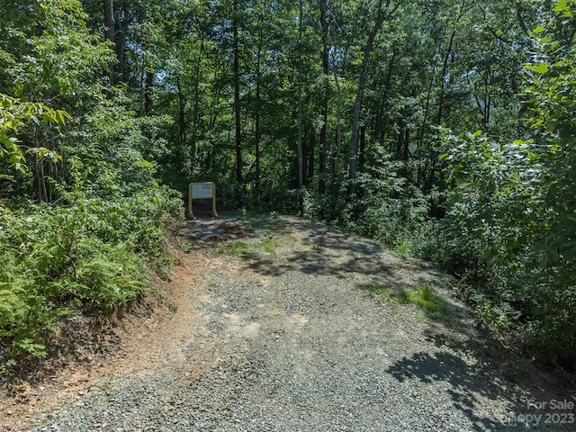 105 Bartram Way, Black Mountain, NC 28711 - photo 11