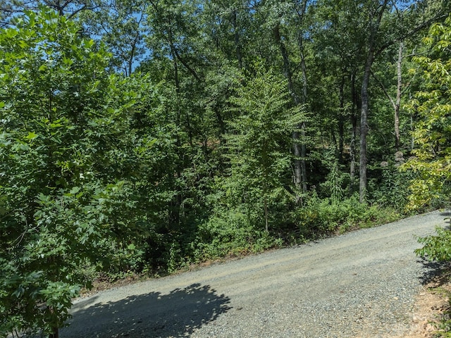 105 Bartram Way, Black Mountain, NC 28711 - photo 12